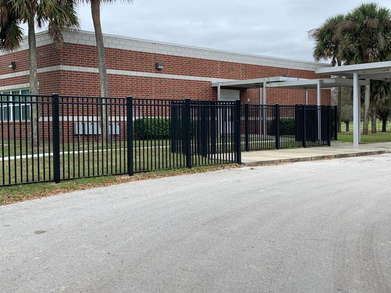 School / College / University