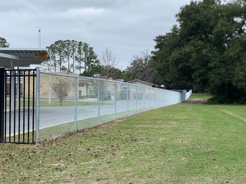 School / College / University