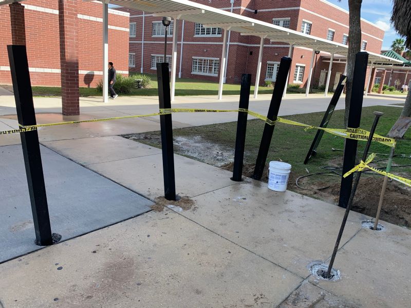 School / College / University