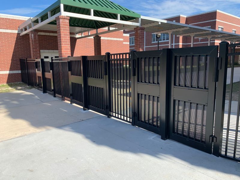 School / College / University