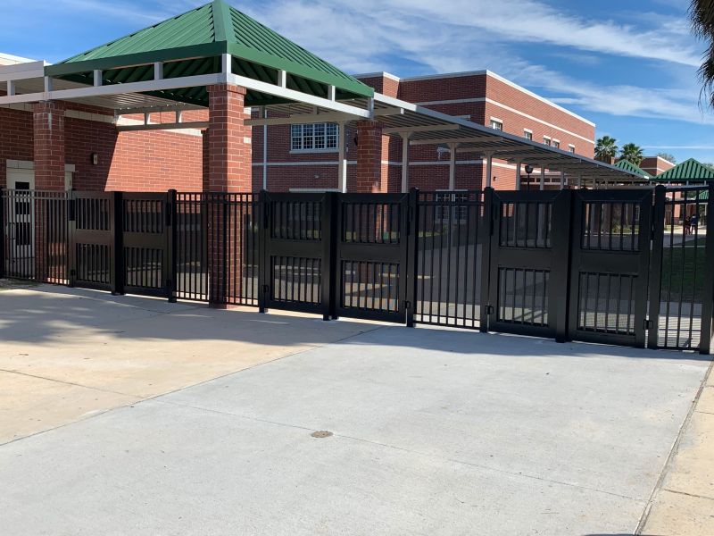 School / College / University