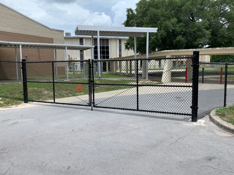 School / College / University