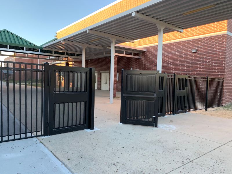 School / College / University