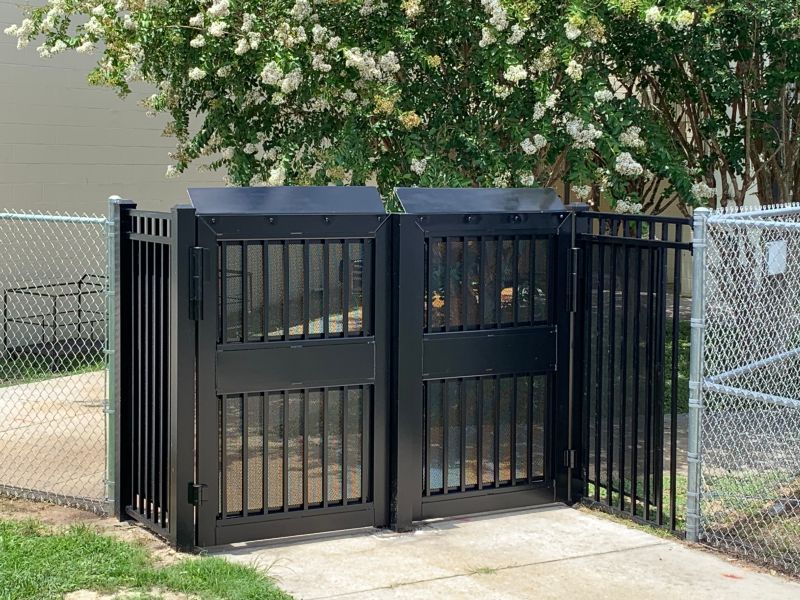 School / College / University