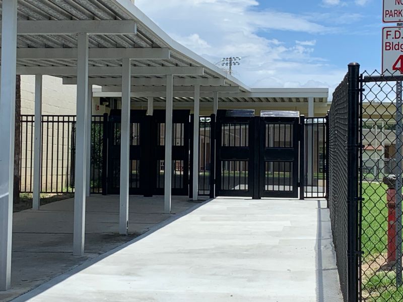 School / College / University