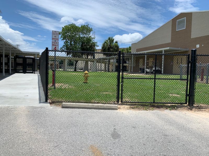 School / College / University