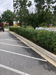Fall Cleanup- Panda Express