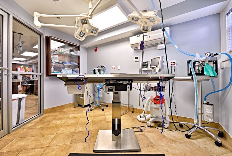 Forsyth Park Animal Hospital