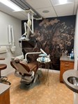 Dental Office - Painting & Wall Murals 
