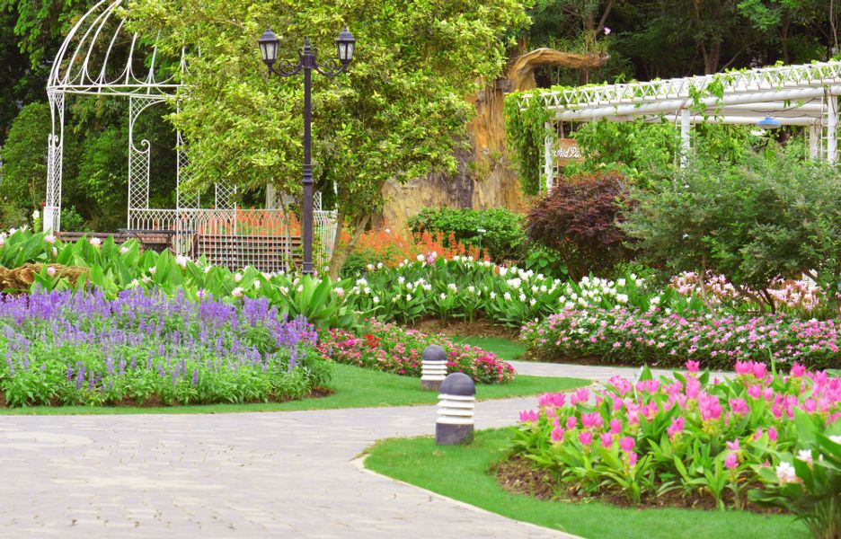 Featured Image 2