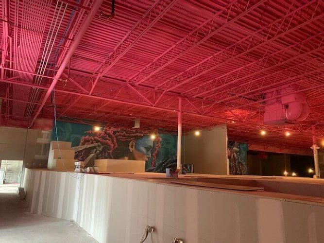 Flying Squirrel Florida