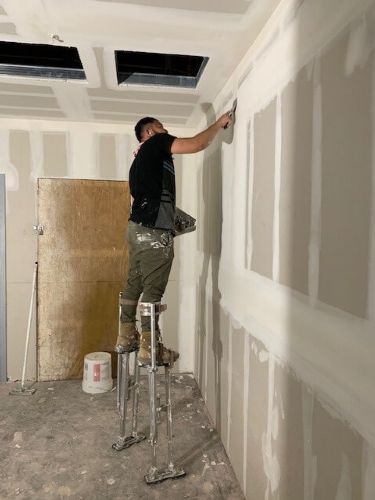 Flying Squirrel Florida