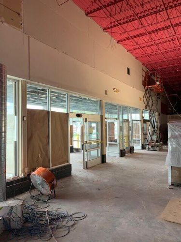 Flying Squirrel Florida