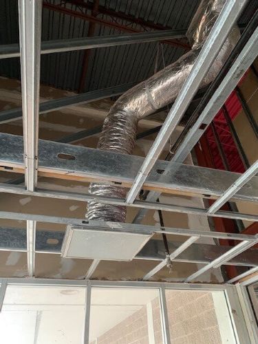 Flying Squirrel Florida