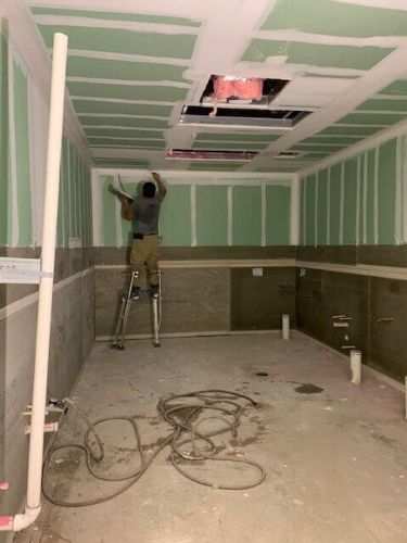 Flying Squirrel Florida