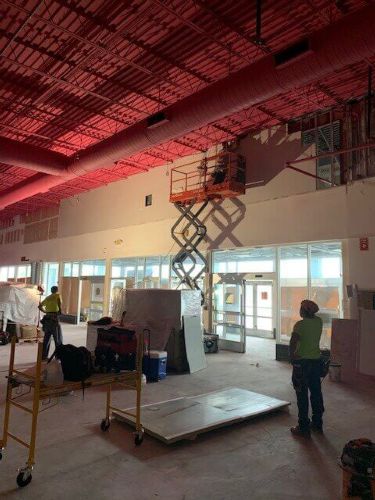 Flying Squirrel Florida