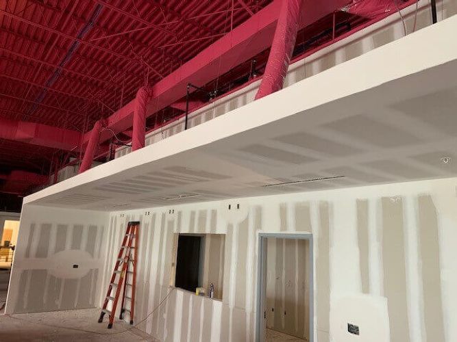 Flying Squirrel Florida