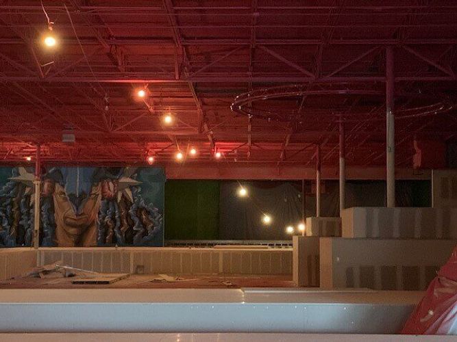 Flying Squirrel Florida