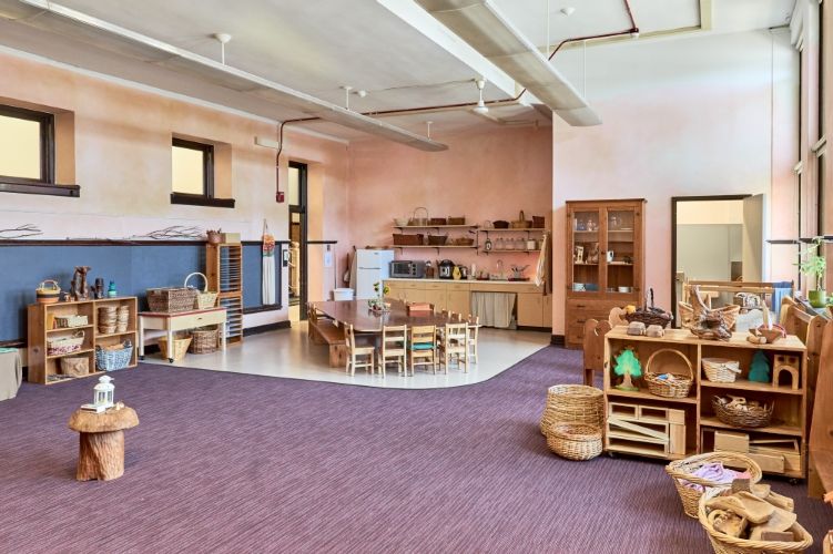 The Waldorf School of DuPage