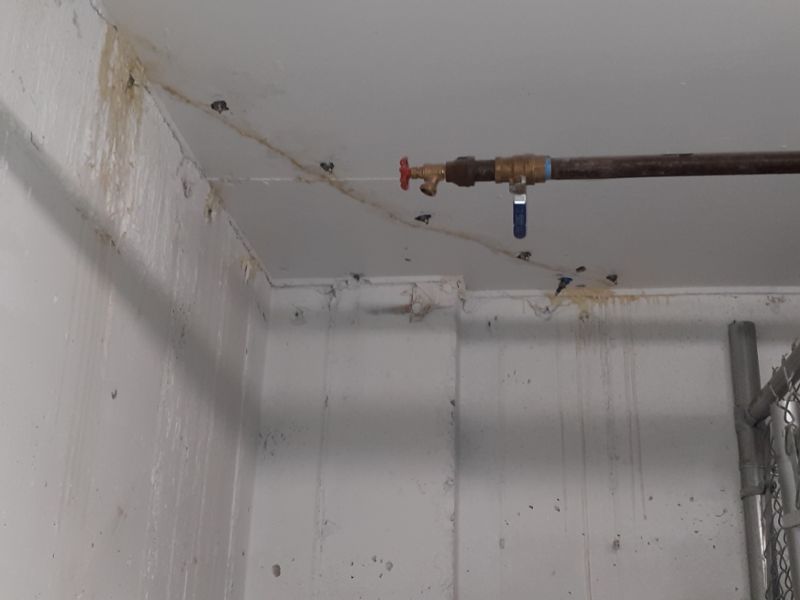 Pacific Street Brooklyn NY