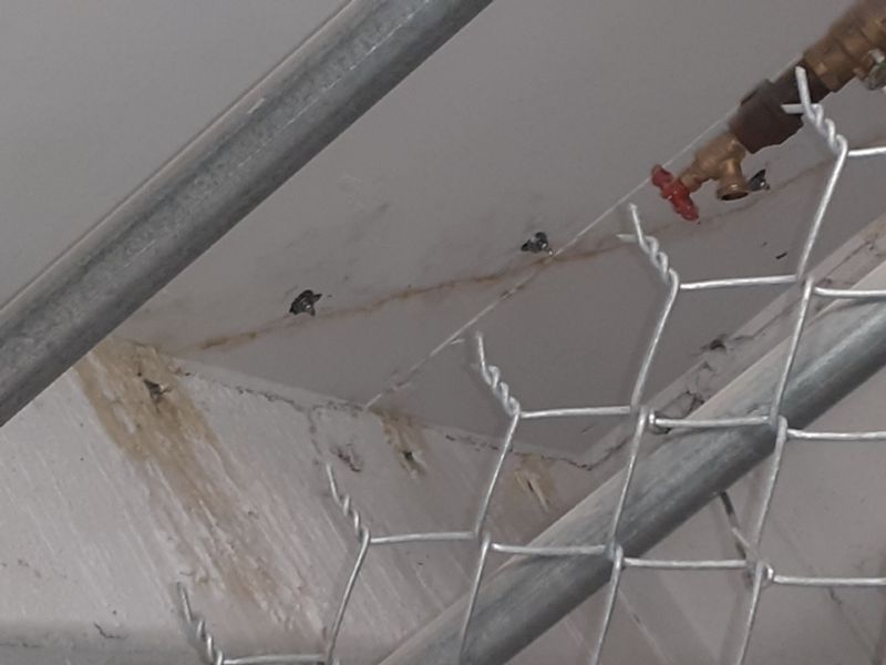 Pacific Street Brooklyn NY