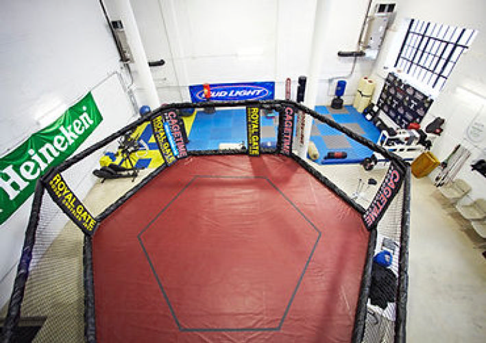 Mixed Martial Arts Gym
