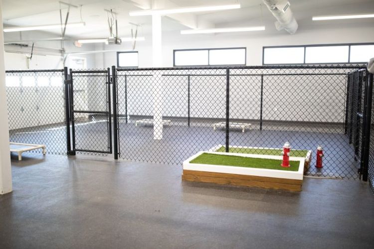 The Barkmore