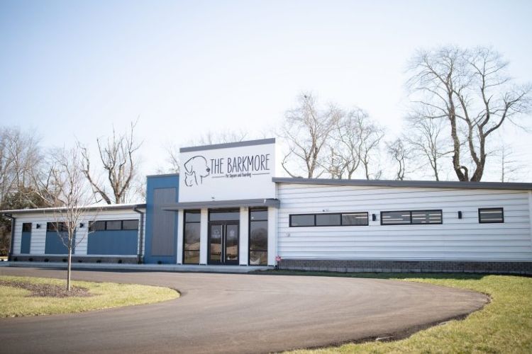 The Barkmore