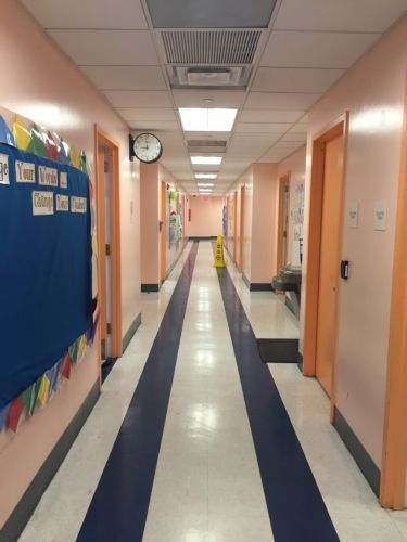 Harlem Village Academy