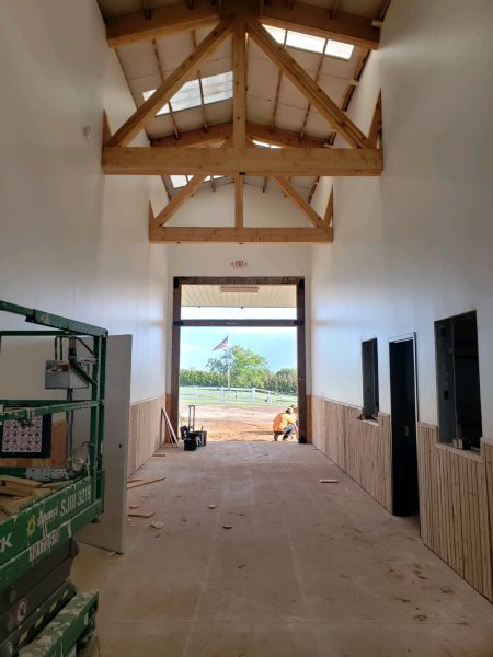 Precision Equine Vet Clinic & Surgery