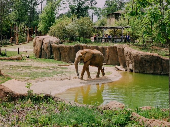 Birmingham Zoo