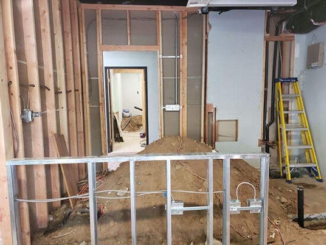 Neveria Project  (In Progress) - 2168 Logan ave