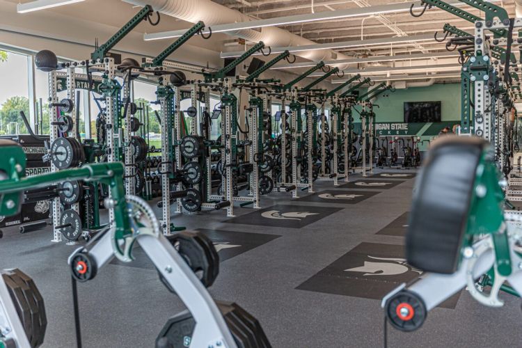 Michigan State University