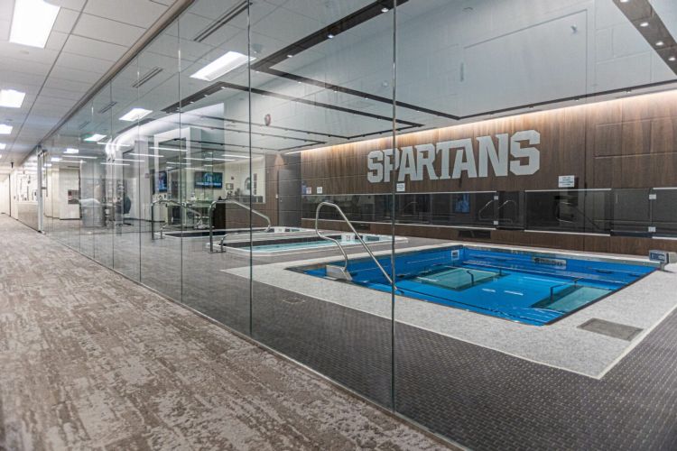 Michigan State University