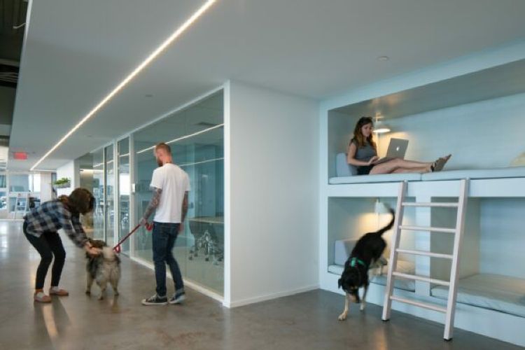 SeaWorld Parks & Entertainment