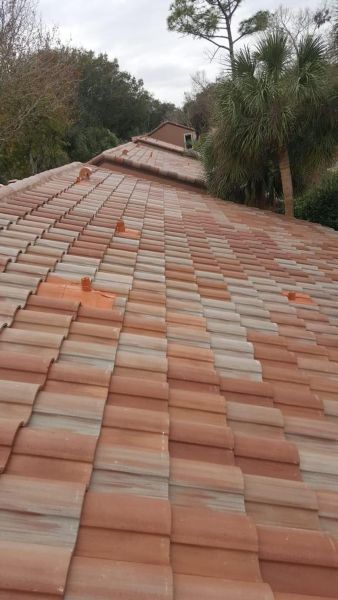 Metal, tile, shingle roofing