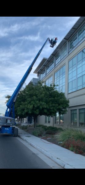 Madera County Govt. Center Post CC Pressure Washing, Window Cleaning