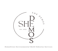 Logo of She Demos LLC