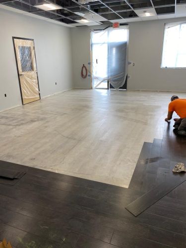 School / College / University