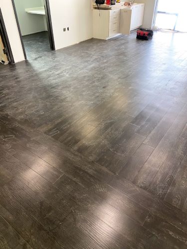 School / College / University