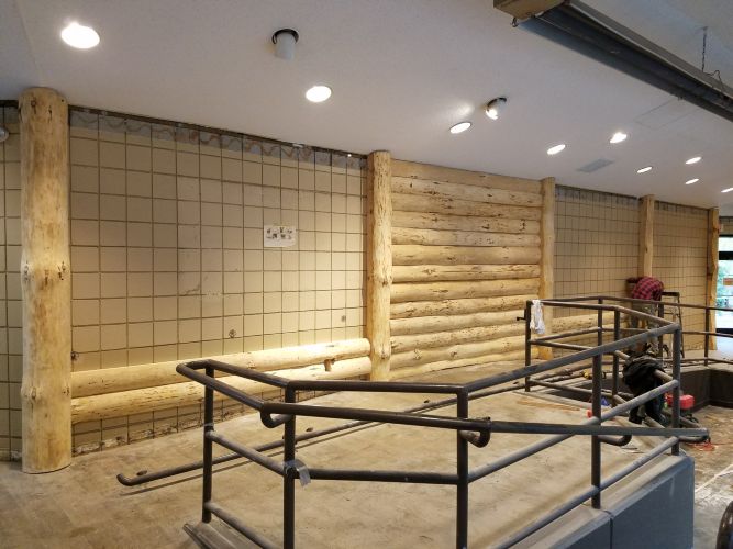 Detroit Zoo - Giraffe Exhibit 