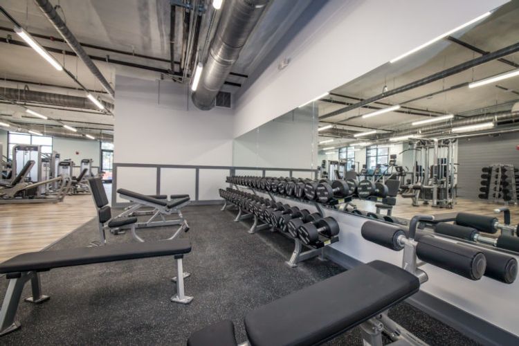 Axis Fitness & Training