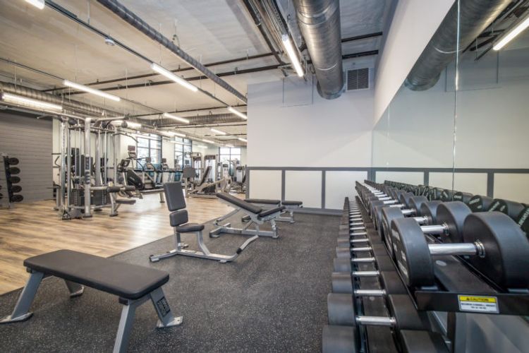 Axis Fitness & Training