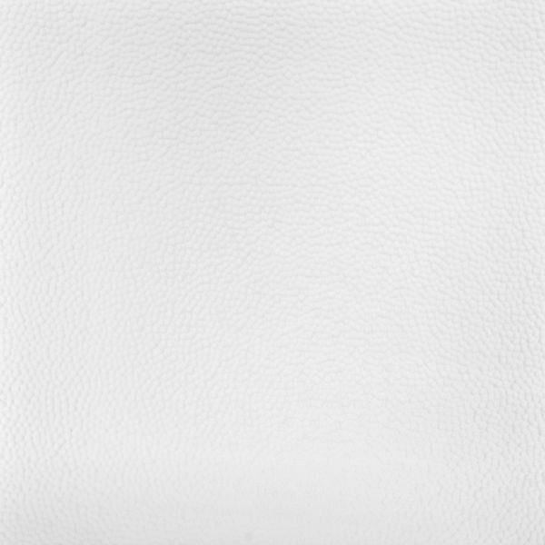 MirroFlex Wall and Ceiling Panels