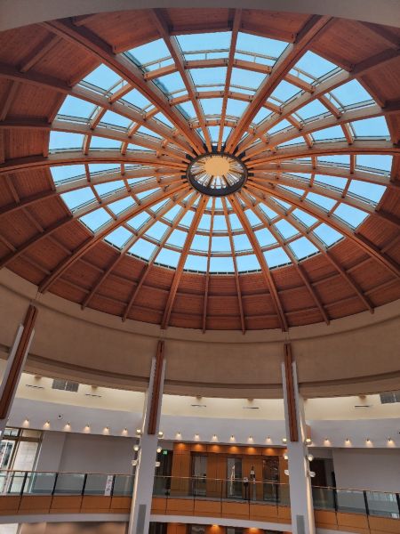 Misc Solar Control Film Projects