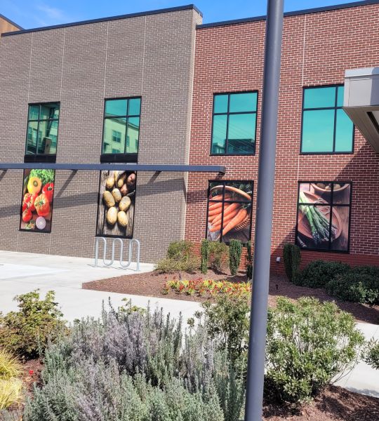 Misc Solar Control Film Projects