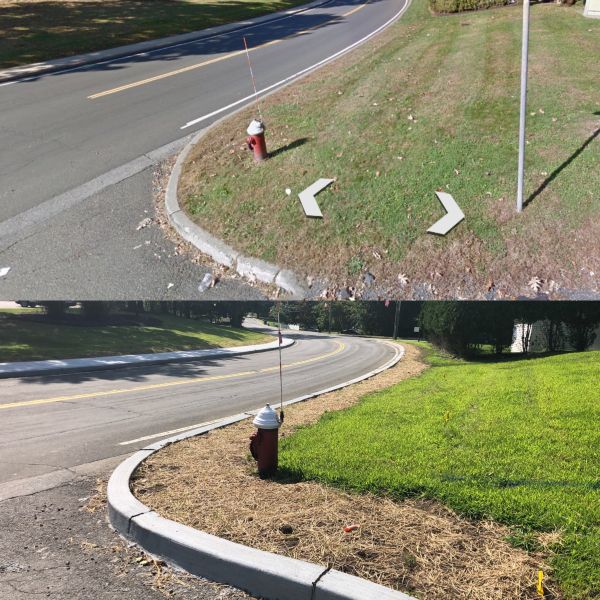 PHASE 2_Rosman Road Town Job