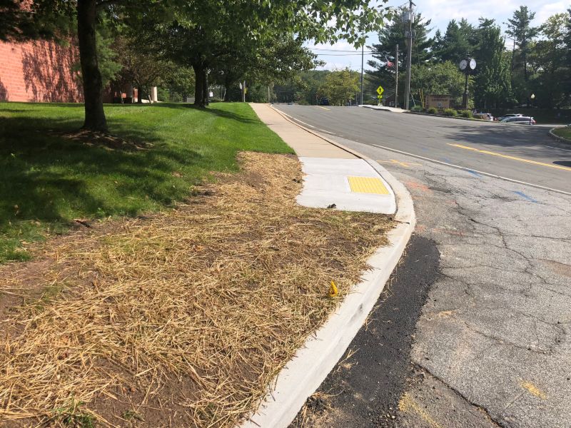 PHASE 2_Rosman Road Town Job