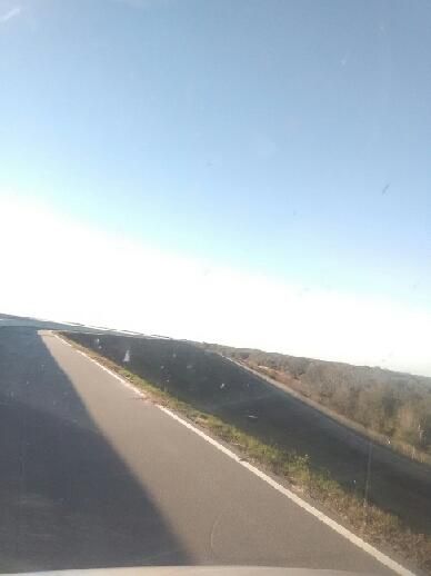 C W Bill Young Reservoir Lithia