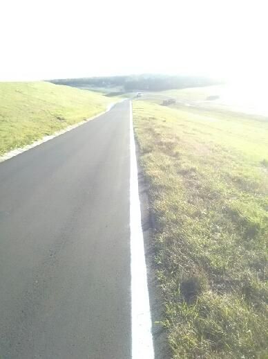 C W Bill Young Reservoir Lithia